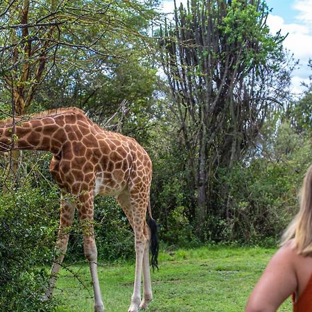 Mbweha Camp Lake Nakuru Elmenteita Екстериор снимка