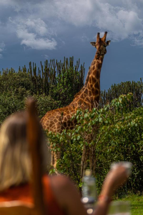 Mbweha Camp Lake Nakuru Elmenteita Екстериор снимка