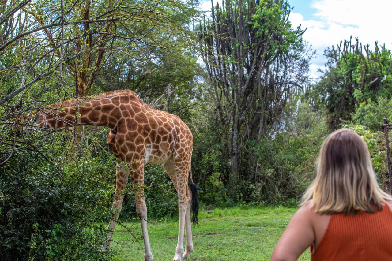 Mbweha Camp Lake Nakuru Elmenteita Екстериор снимка