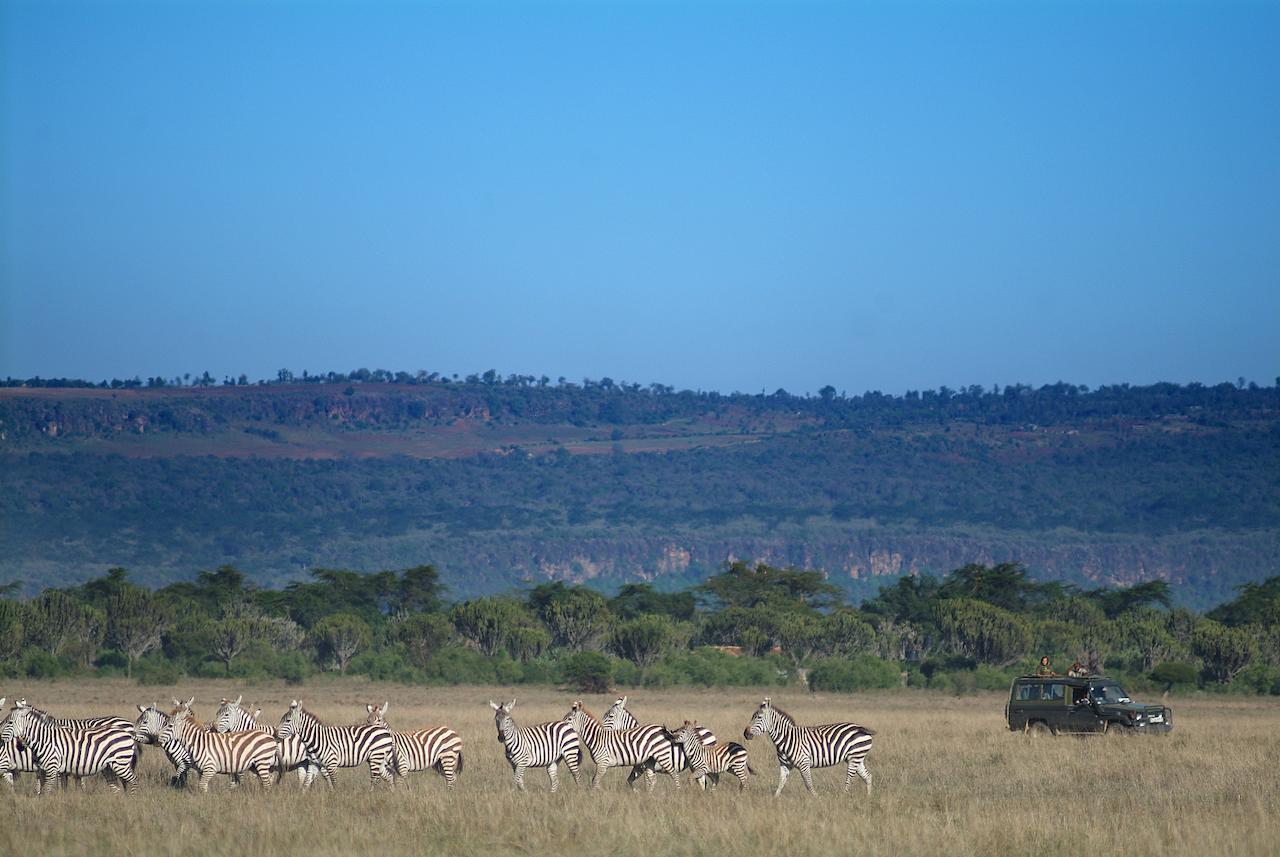 Mbweha Camp Lake Nakuru Elmenteita Екстериор снимка