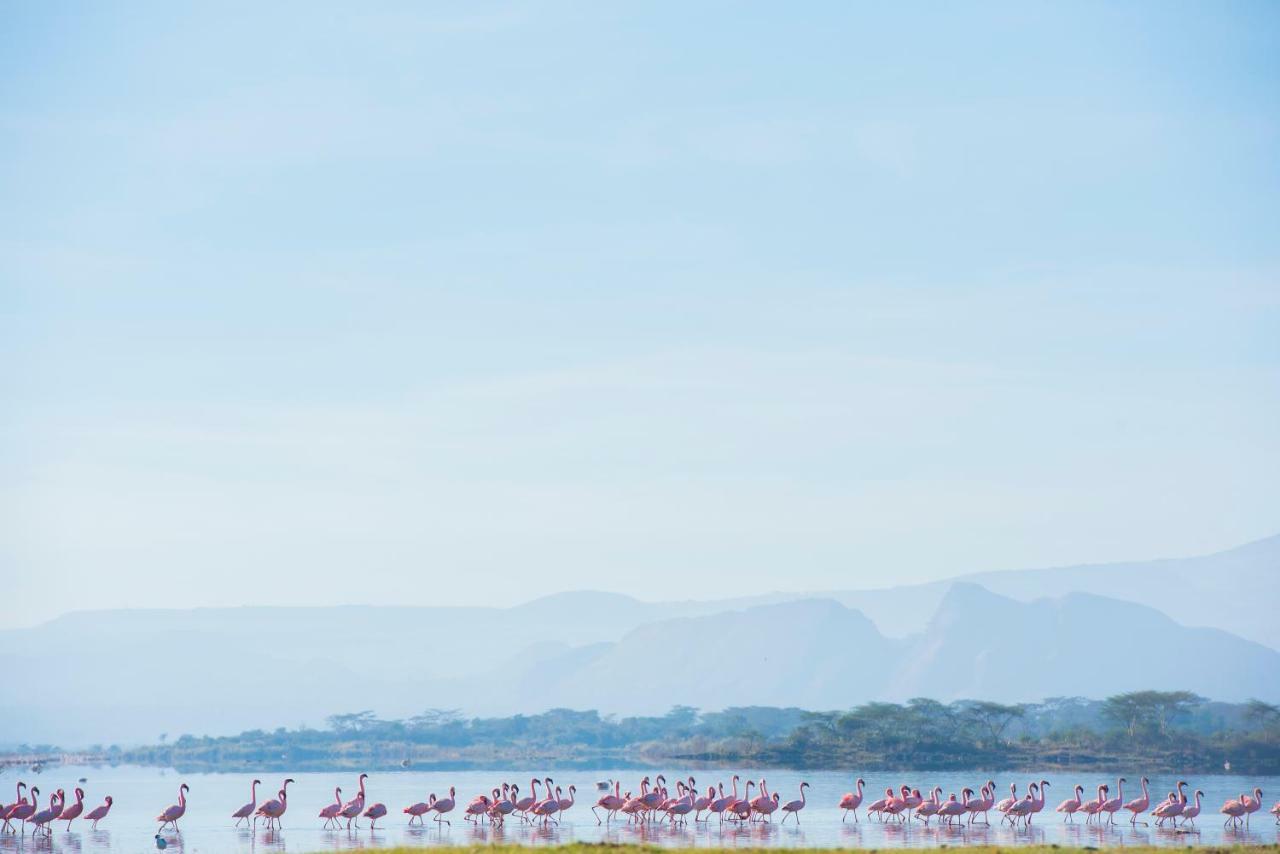 Mbweha Camp Lake Nakuru Elmenteita Екстериор снимка
